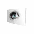 Fondo 12 x 18 in. Blue Eye In Watercolor-Print on Canvas FO2788281